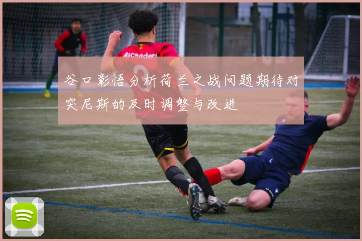 谷口彰悟分析荷兰之战问题期待对突尼斯的及时调整与改进