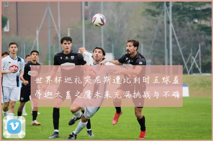 世界杯巡礼突尼斯遭比利时五球羞辱迦太基之鹰未来充满挑战与不确定性